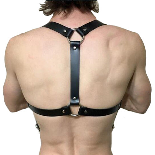 Vini Leather Harness